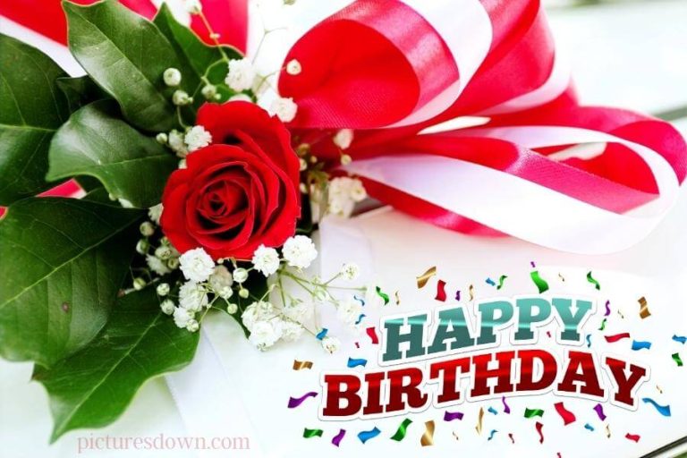 Happy Birthday Blumen Bild Rosen Und Bl Tenbl Tter Kostenlos