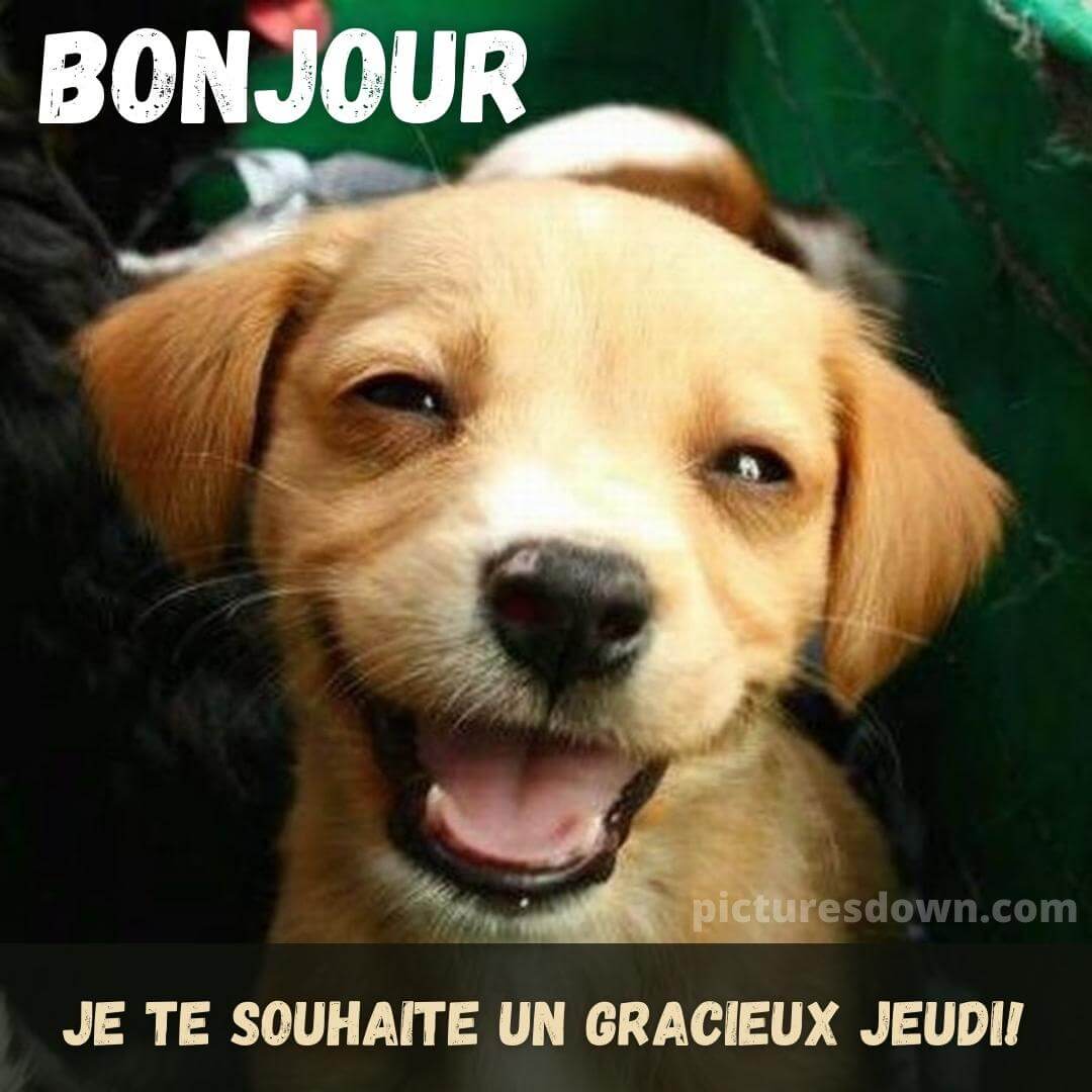 Bonjour Bon Jeudi Image Chien Heureux