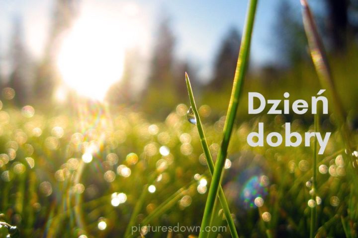 Kartka dzień dobry natura pobrania za darmo online