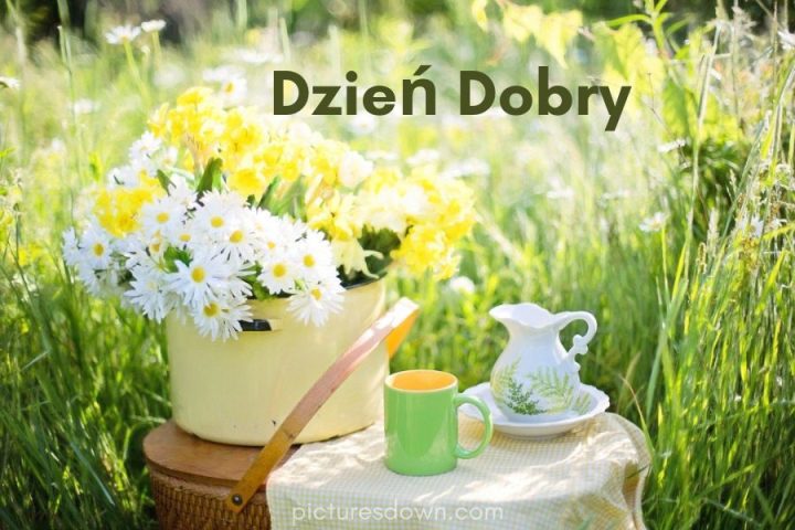 Kartka dzień dobry kwiaty pobrania za darmo online