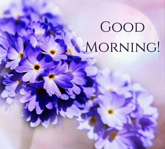 Good morning picture lilac download free
