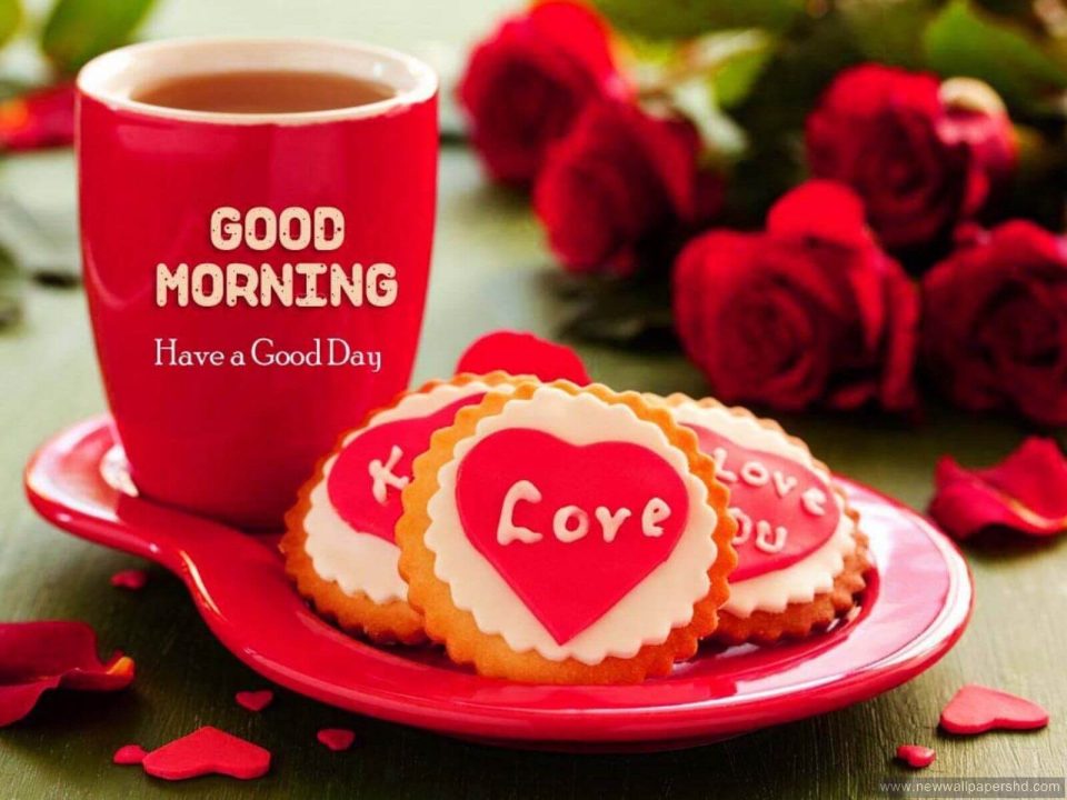 Good morning picture images flowers and love download free