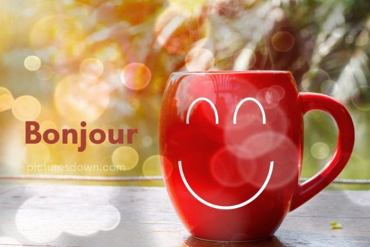 Image bonjour humour téléchargement gratuit