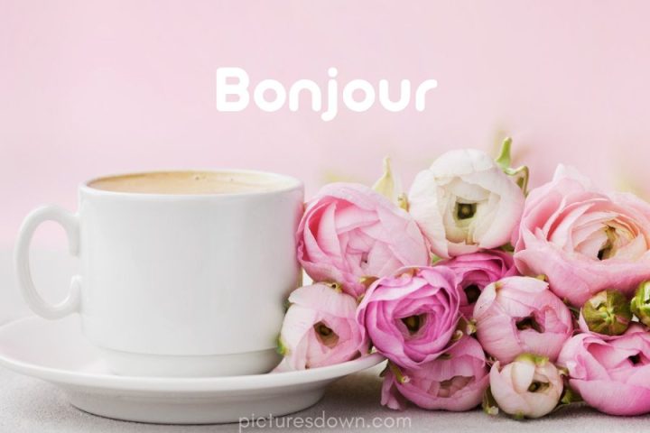 Image bonjour café et roses téléchargement gratuit