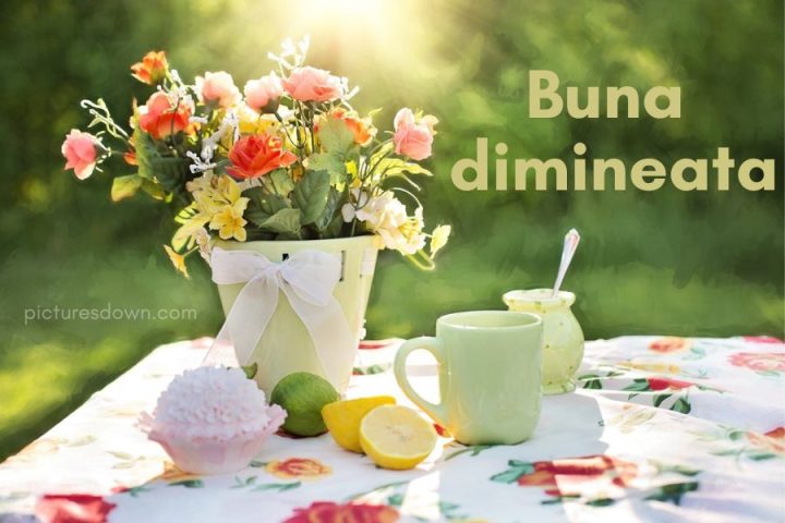 Imagini cu buna dimineata cu flori descărcare gratuită