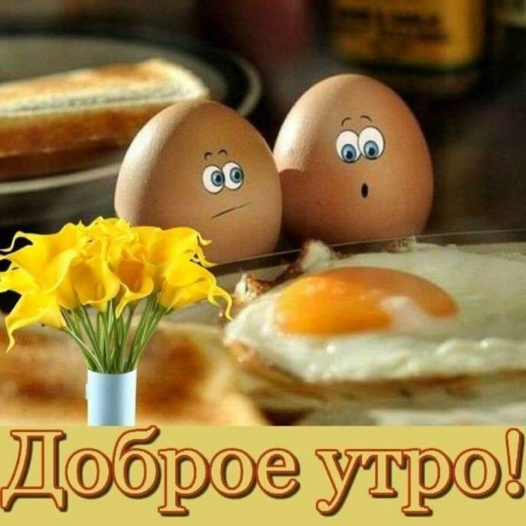 Картинка з добрим ранком ранку яйце скачати безкоштовно онлайн