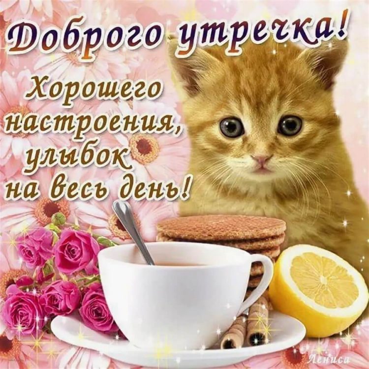 Картинка с добрым утром завтрак и кошка скачать бесплатно онлайн