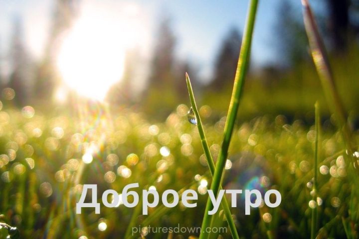 Картинка с добрым утром лучи солнца скачать бесплатно онлайн