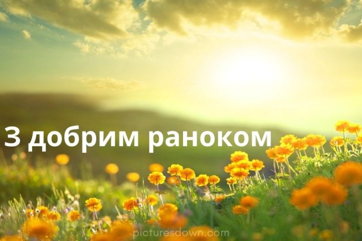 Картинка доброго ранку любов скачати - Picturesdown