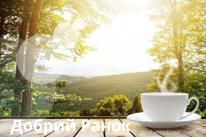 Картинка доброго ранку краєвид скачати безкоштовно онлайн