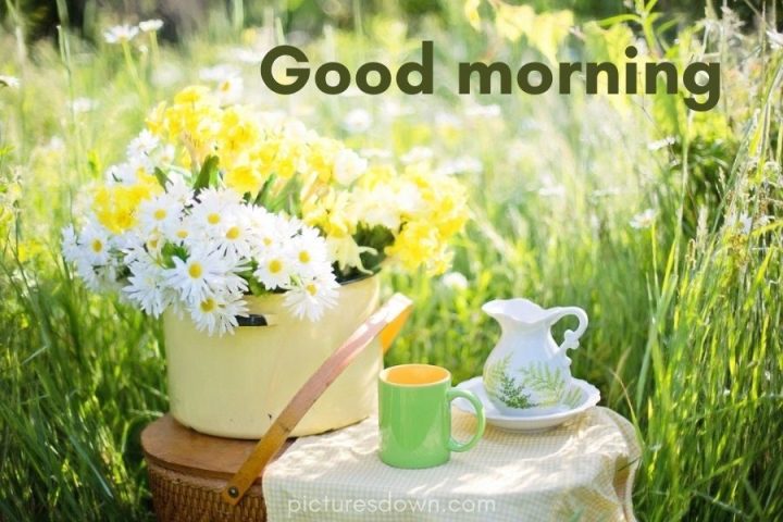 Good morning picture flowers and nature download free
