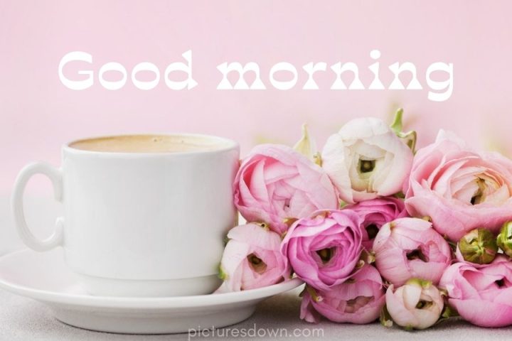 Good morning picture coffee and flowers download free