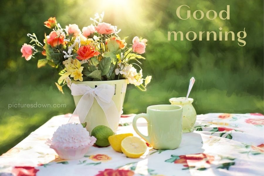 Good morning picture flowers in nature download free