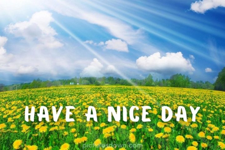 Have a good day image dandelions download free