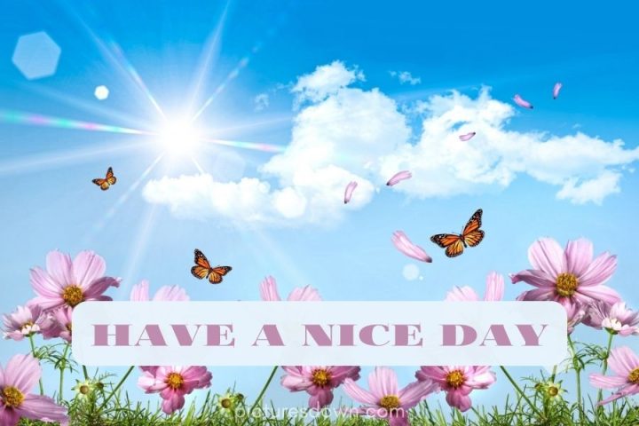 Have a good day image butterflies download free