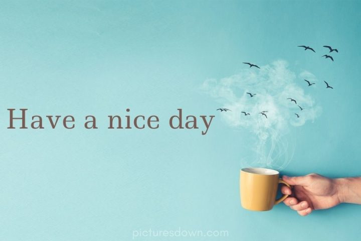 Have a good day image birds download free