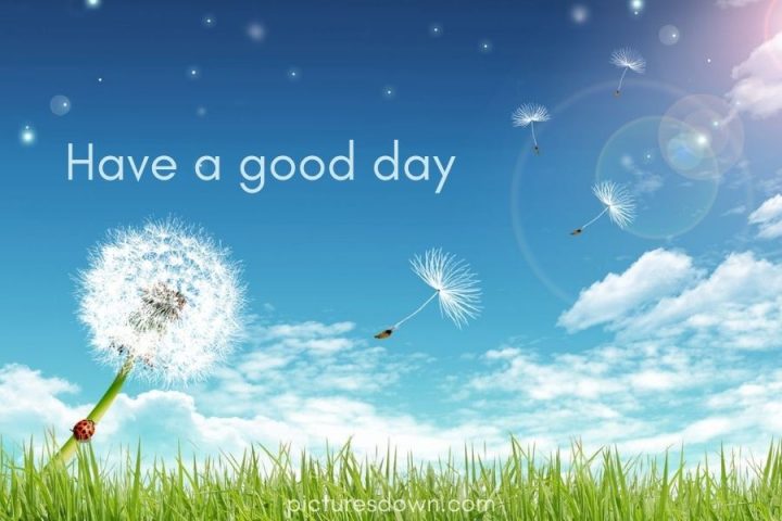 Have a good day image dandelion and clouds download free
