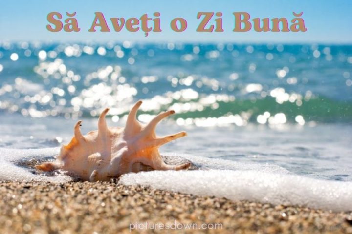 Imagine cu mesaje de o zi buna coajă descărcare gratuită