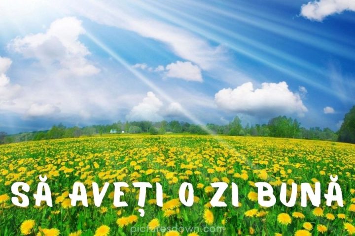 Imagine cu mesaje de o zi buna nori și păpădie descărcare gratuită