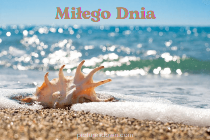 Miłego dnia kartki morze i muszla pobrania za darmo online
