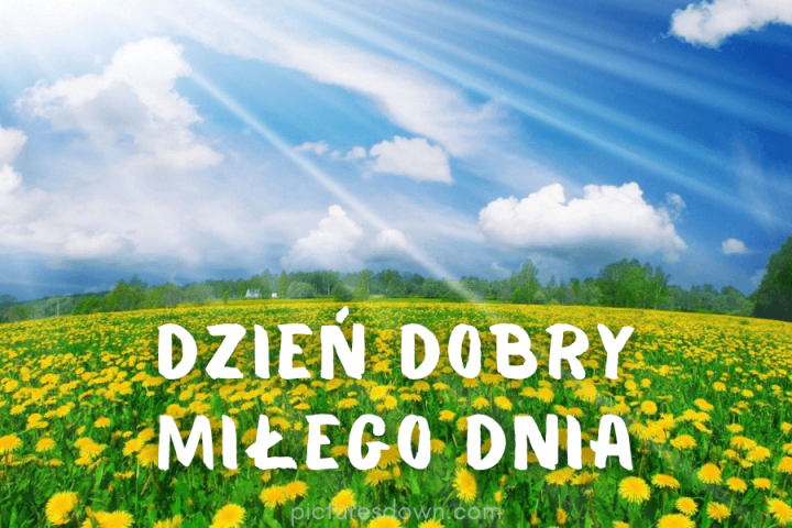 Miłego dnia kartki mlecze pobrania za darmo online