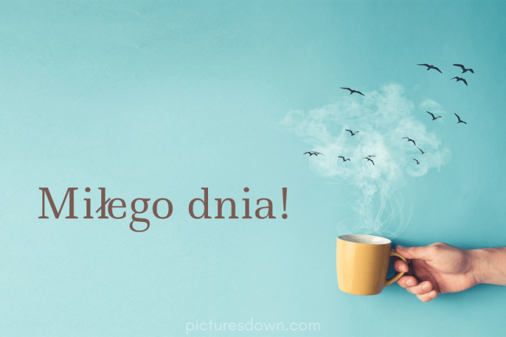 Miłego dnia kartki ptaki pobrania za darmo online