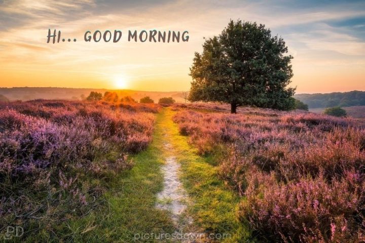 Good morning landscape images field download free - Picturesdown