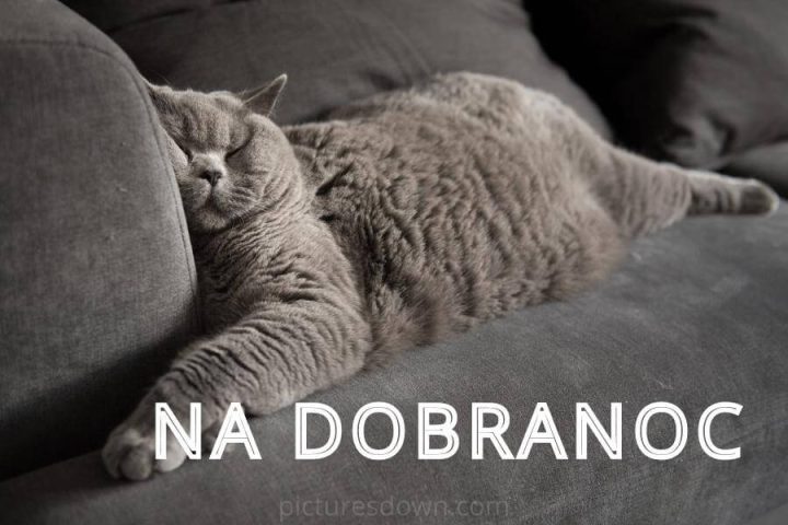 Kartki na dobranoc kot do pobrania za darmo