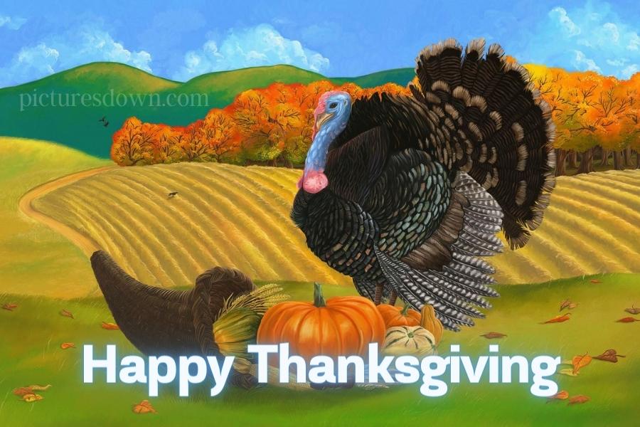 Thanksgiving pictures big turkeys free download - Picturesdown