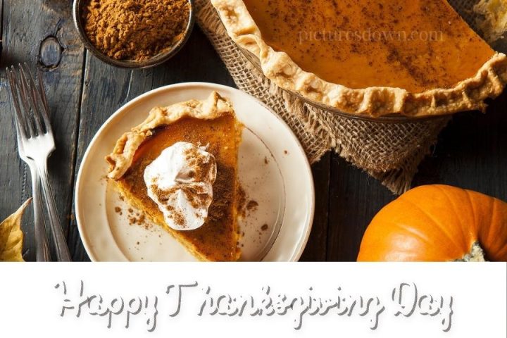 Happy thanksgiving dessert and pumpkin free download - Picturesdown