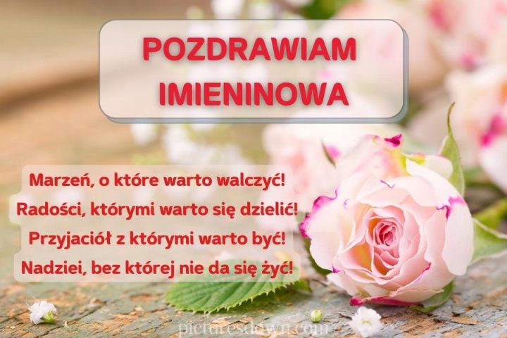 Darmowe kartki imieninowe kwiat do pobrania