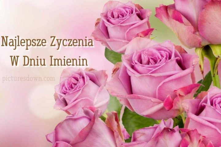 Kartka imieninowe darmowe róże do pobrania za darmo