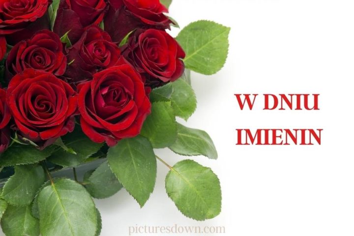 Kartka imieninowe darmowe czerwone róże do pobrania za darmo