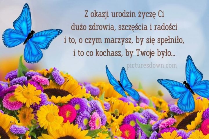 Kartki urodzinowe motyle i stokrotki do pobrania za darmo