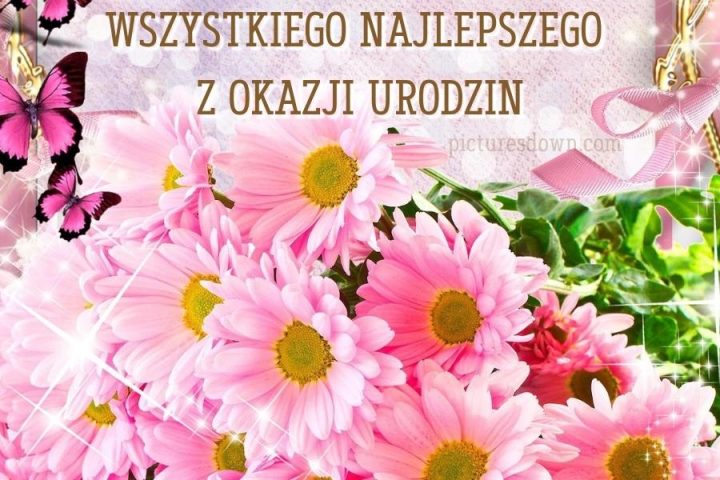 Kartki życzenia urodzinowe motyle i różowe stokrotki do pobrania za darmo