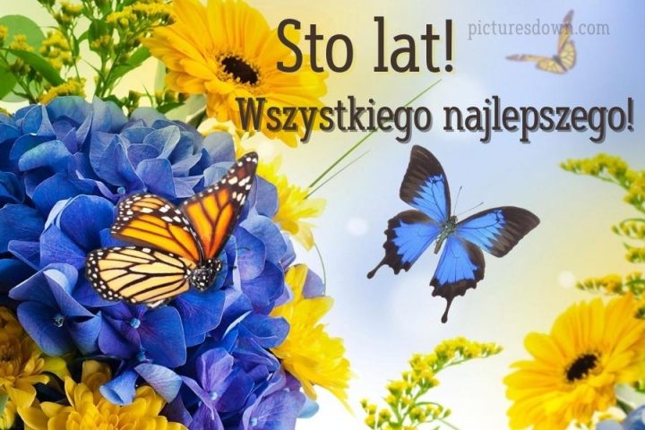 Kartki urodzinowe motyle i liliowy do pobrania za darmo