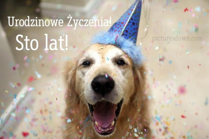 Kartki urodzinowe pies do pobrania za darmo