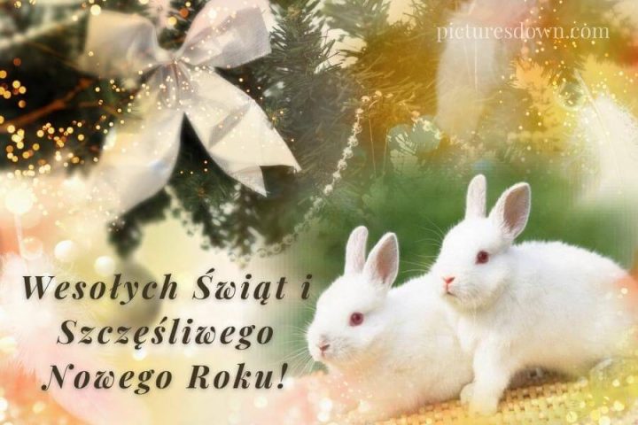 Kartka bożonarodzeniowe króliki do pobrania za darmo