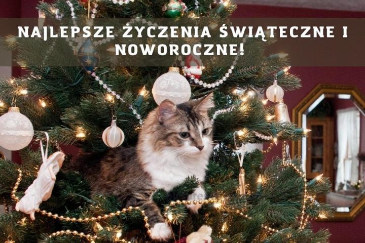 Darmowe kartka na nowy rok kot na drzewie do pobrania za darmo
