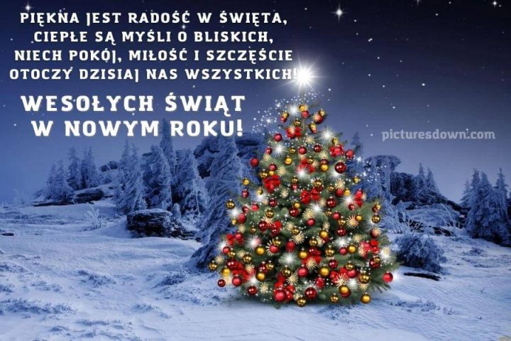 Kartka na nowy rok drzewo w lesie do pobrania za darmo