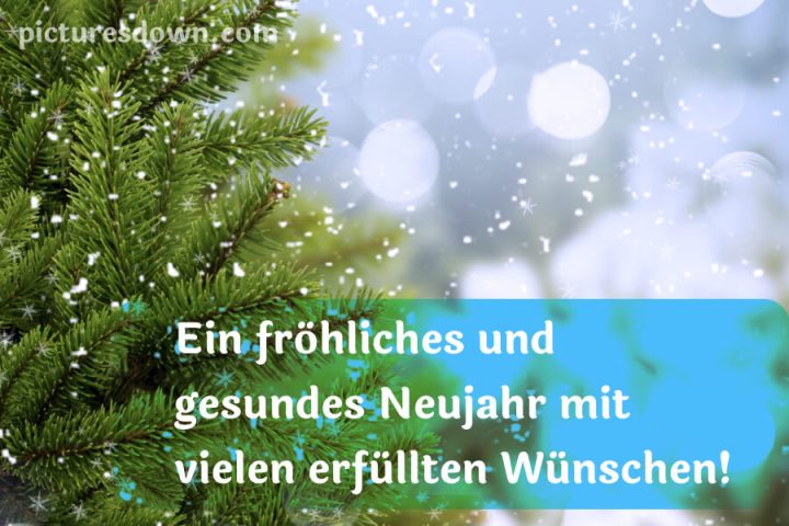 Silvester bilder kostenlos Schnee fällt herunterladen online