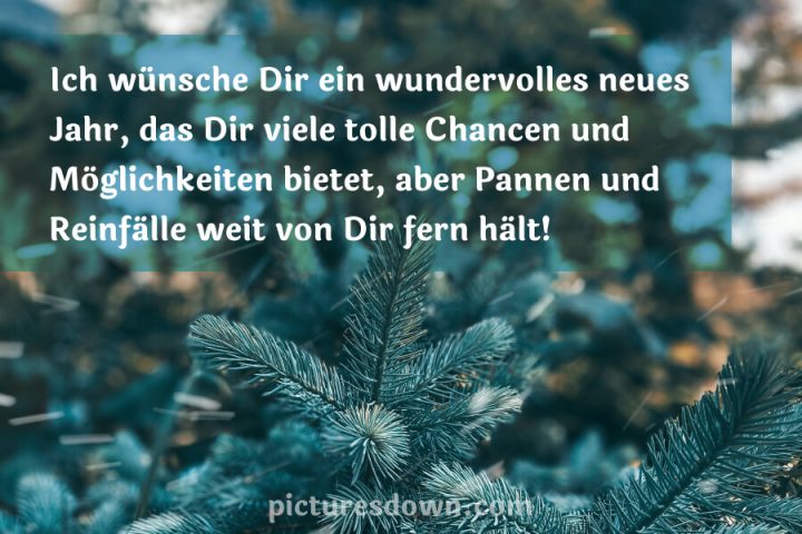 Silvester bilder kostenlos Weihnachtsbaumast herunterladen online