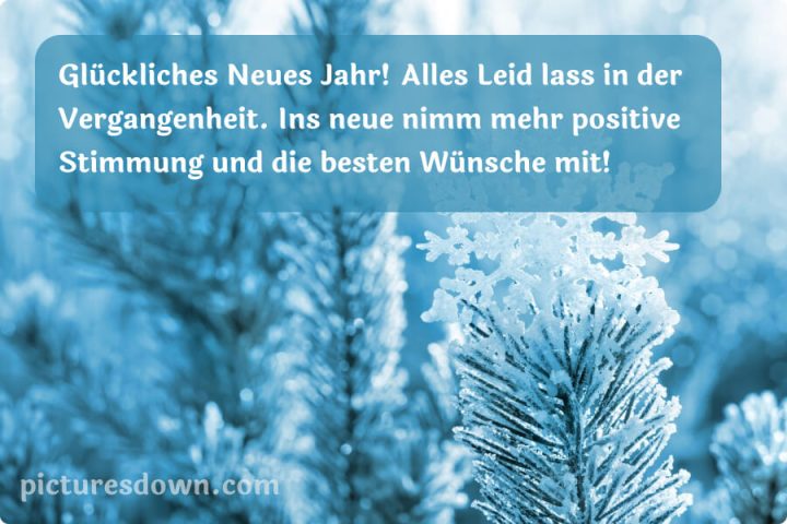 Silvester bilder kostenlos Schneeflocke auf einem Ast herunterladen online