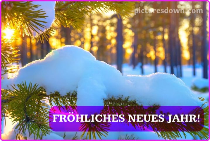 Silvester bilder kostenlos Wunderkerzen und Champagner herunterladen online