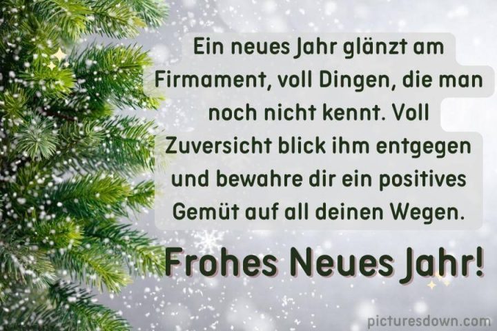 Silvester bilder kostenlos Baum im Schnee herunterladen online