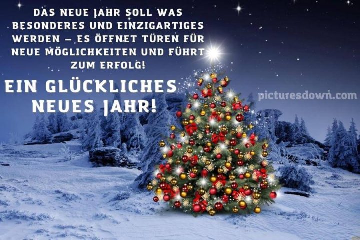 Silvester bilder kostenlos Wald Weihnachtsbaum herunterladen online