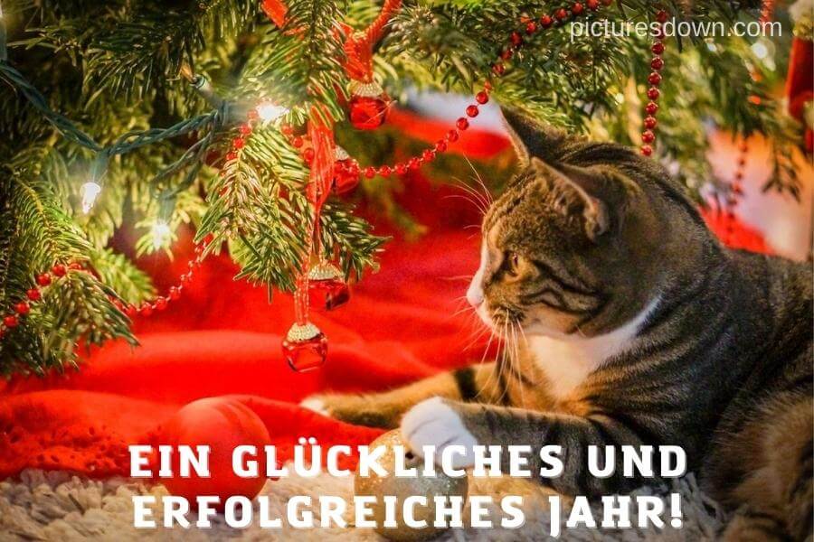 Silvester bilder kostenlos Katze unter dem Baum herunterladen online