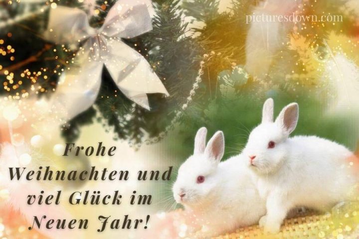Frohe weihnachten bilder kostenlos zwei Hasen herunterladen online