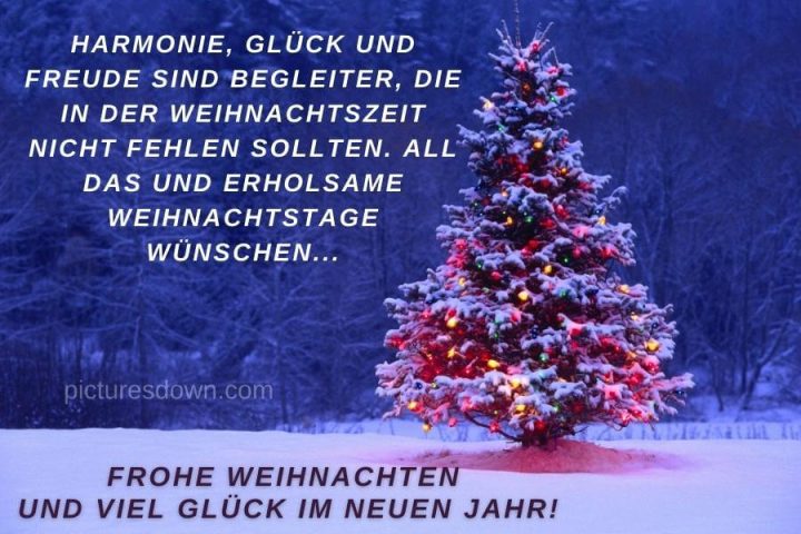 Frohe weihnachten bilder kostenlos Baum im Wald herunterladen online