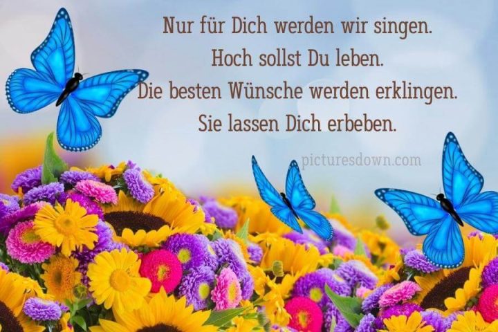 Geburtstag bilder kostenlos Schmetterlinge und Blumen herunterladen